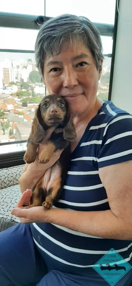 Família Hundwurst